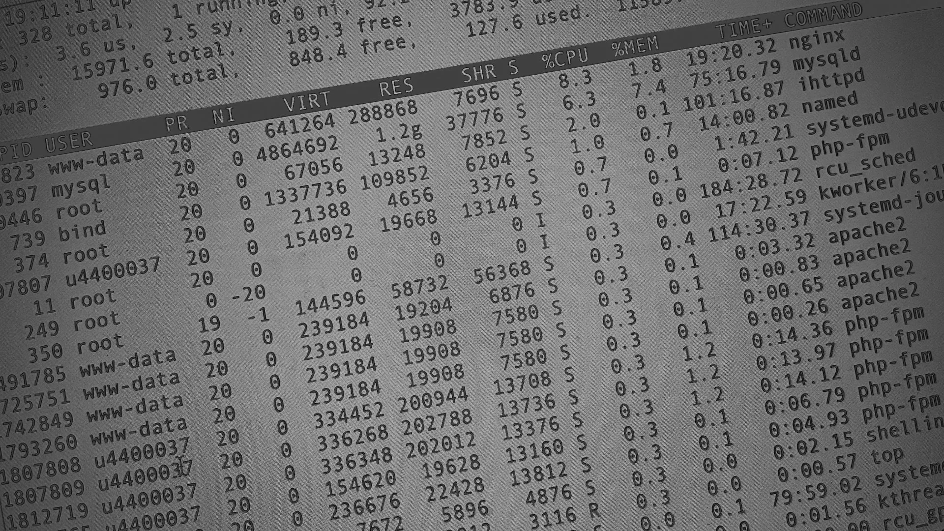 Настройка сервера в Ермолино